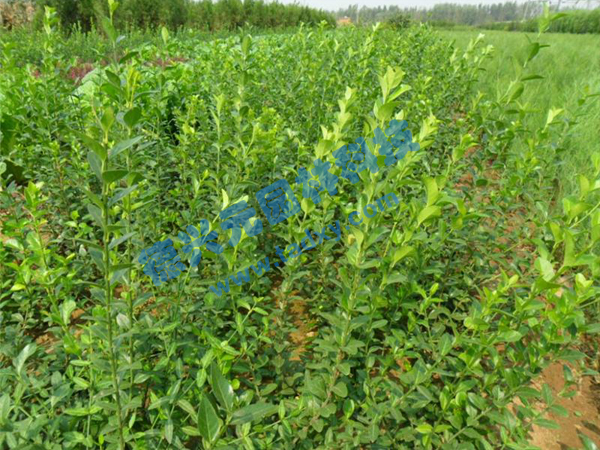 �c���鿴Ԕ����Ϣ���}�����~������ ��x�Δ���2844