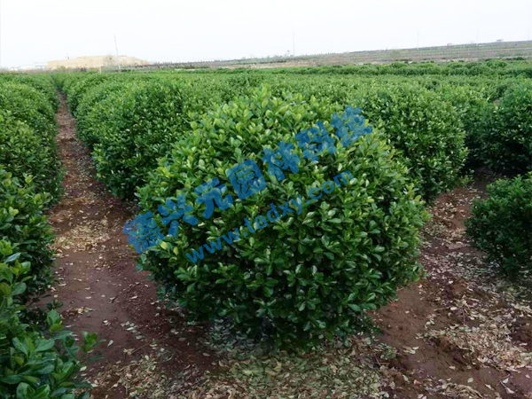 �c���鿴Ԕ����Ϣ���}�����~�S���� ��x�Δ���2644