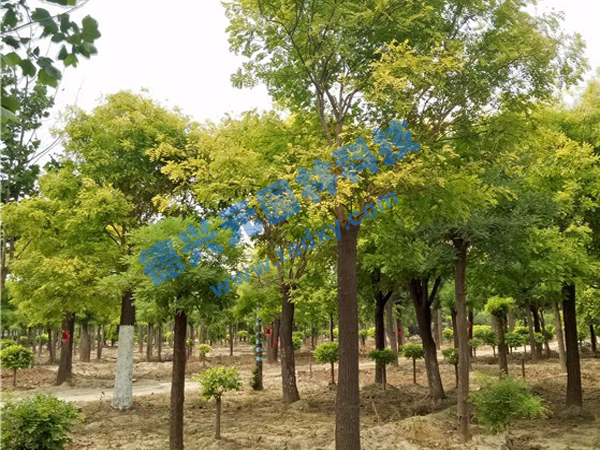 �c���鿴Ԕ����Ϣ���}�����~�� ��x�Δ���2402