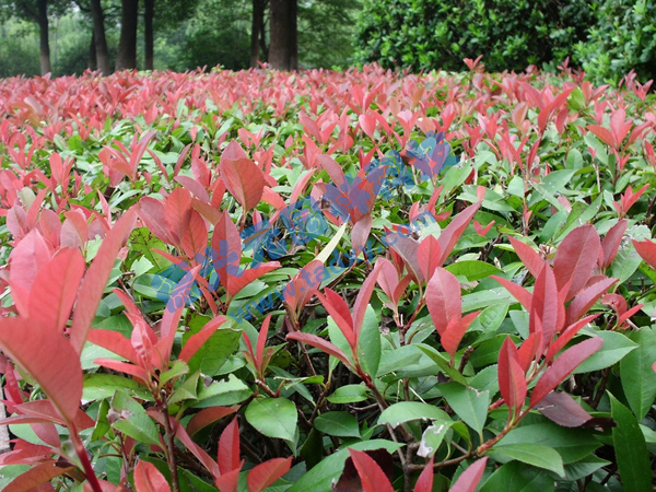 �c���鿴Ԕ����Ϣ���}���t�~ʯ� ��x�Δ���2525