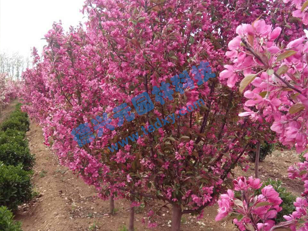 �c���鿴Ԕ����Ϣ���}���k������ ��x�Δ���2300