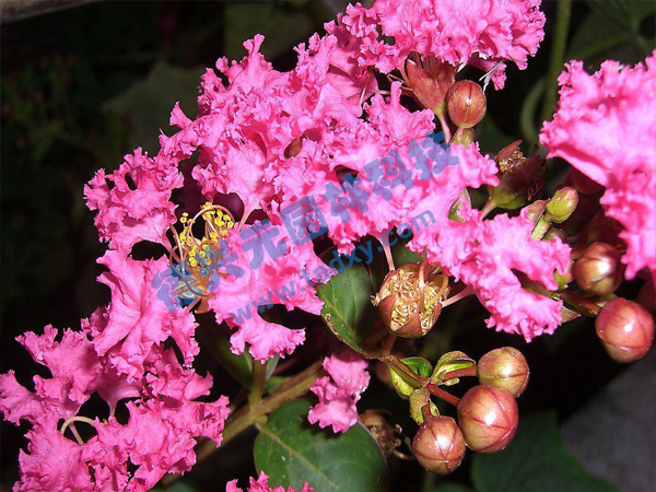 �c���鿴Ԕ����Ϣ���}����ޱ ��x�Δ���1903