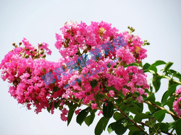 �c���鿴Ԕ����Ϣ���}����ޱ ��x�Δ���2000